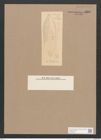 Navicula lauta Grun. (de-Toni-Nr.: Genus 1, Species 684) Zeichnungen Sammlung Grunow Nr. 1266 (NHMW-BOT-W0367919)